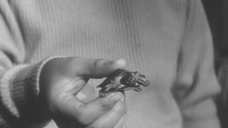 Gamera, the Giant Monster screenshot 4