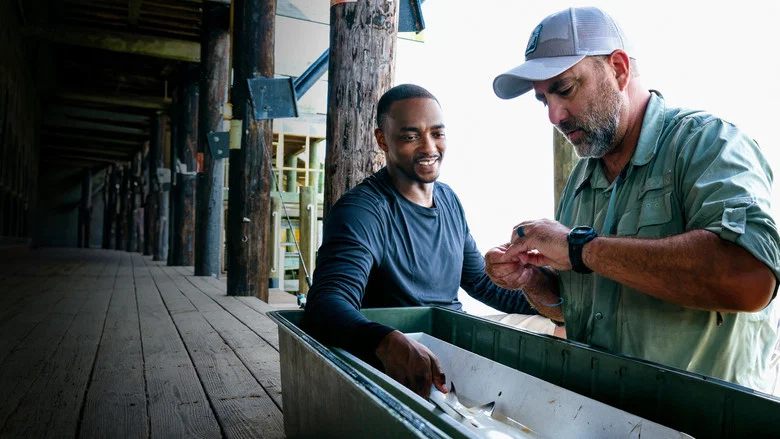 Shark Beach with Anthony Mackie screenshot 6