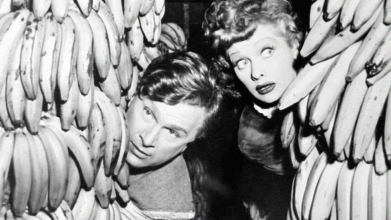The Fuller Brush Girl screenshot 1