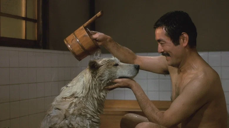 Hachiko screenshot 2