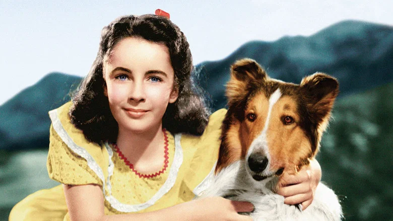 Courage of Lassie screenshot 3