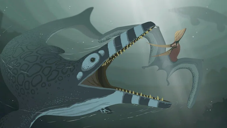 Sea and Sky screenshot 3