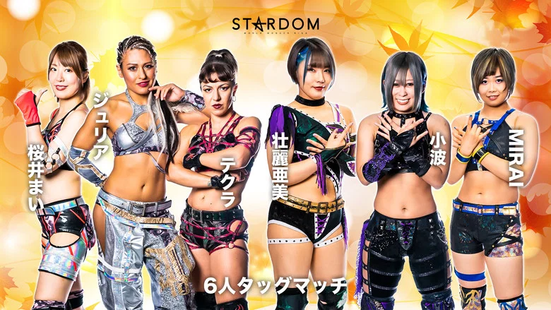 Stardom Hiroshima Goddess Festival ~Kinsai Stardom~ screenshot 5