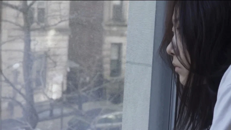 ULIM screenshot 1