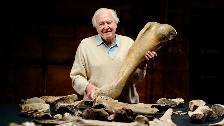 Attenborough and the Mammoth Graveyard screenshot 2