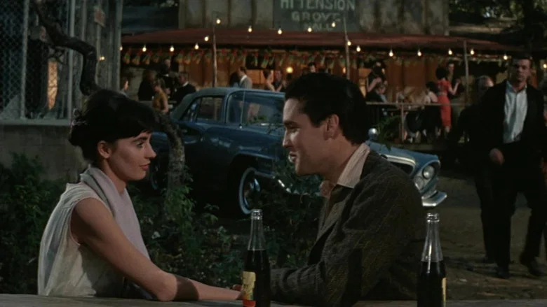 Wild in the Country screenshot 5