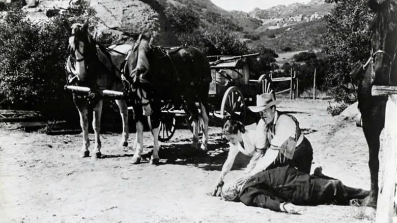 I Killed Wild Bill Hickok screenshot 1