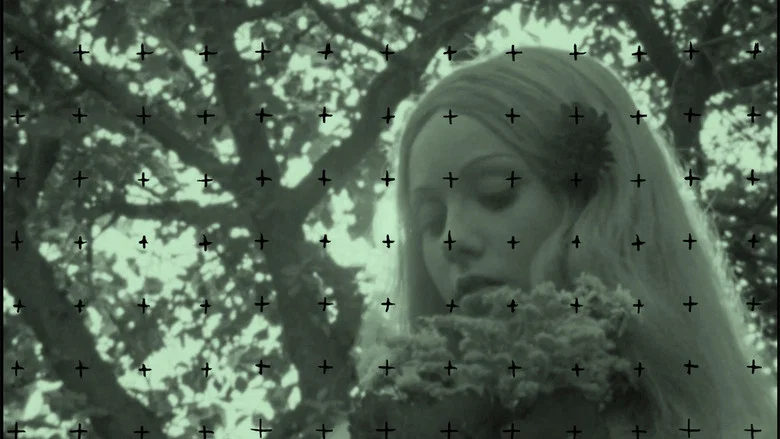 Woodlands Dark and Days Bewitched: A History of Folk Horror screenshot 5