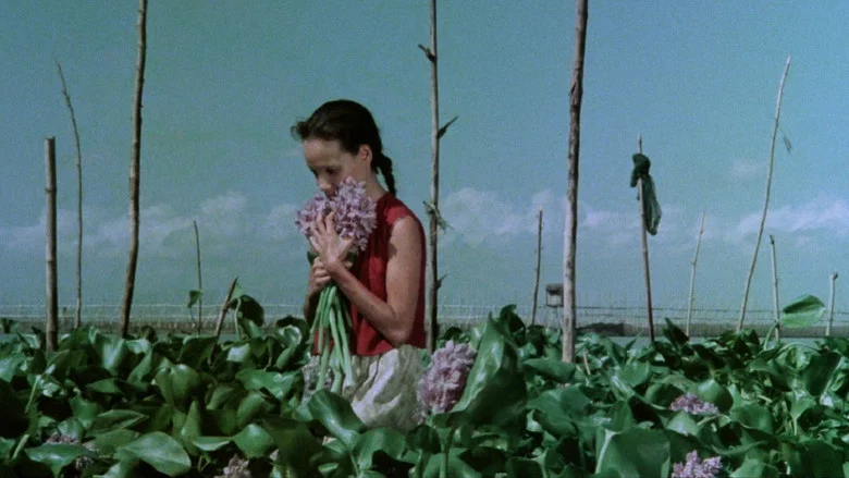 A Speck in the Water screenshot 2