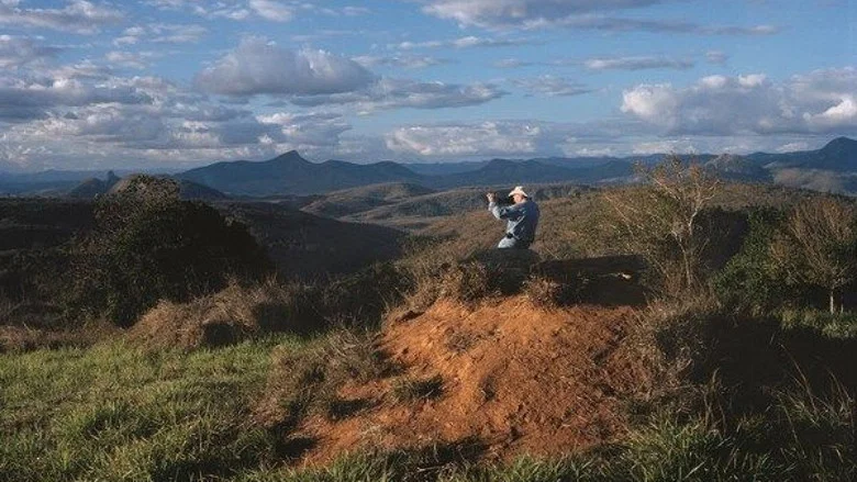 The Salt of the Earth screenshot 4