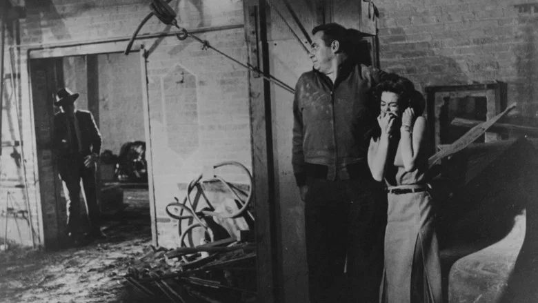 A Cry in the Night screenshot 6